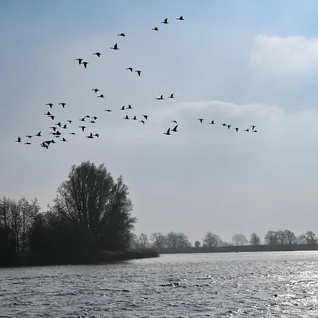 Prázdninový dům - Hausboot 1 Suderstapel