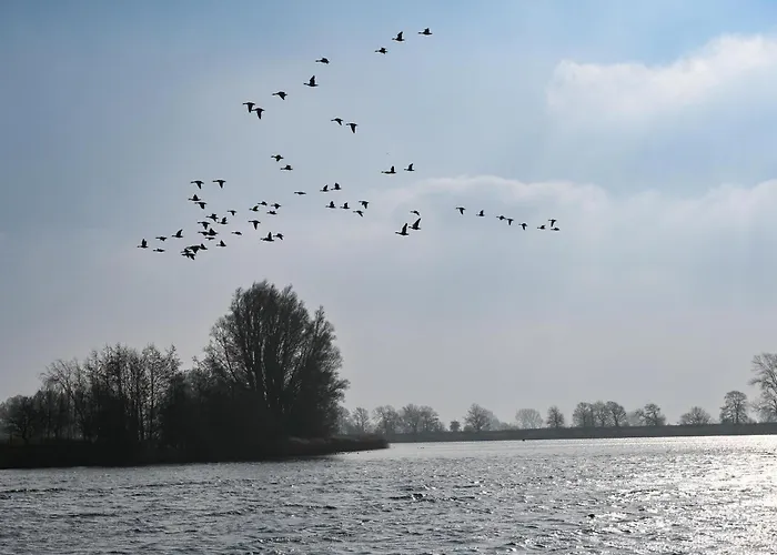 Vakantiehuis - Hausboot 1 Suderstapel