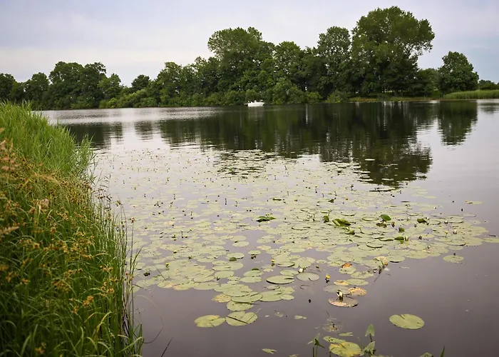 Vakantiehuis - Hausboot 1 *